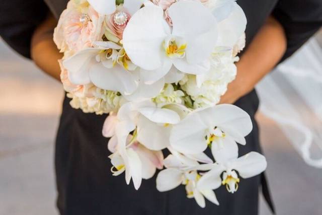 Pretty flowers