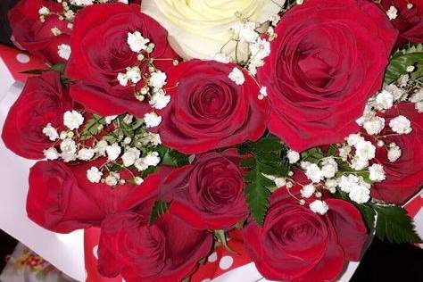 Dozen Roses