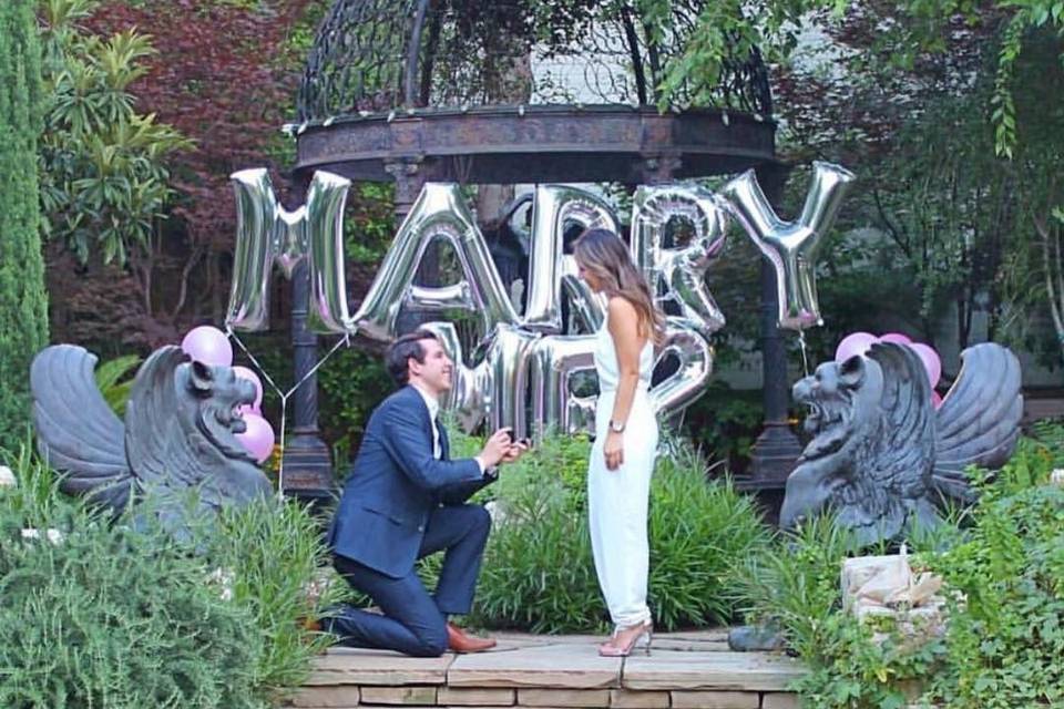 Proposal