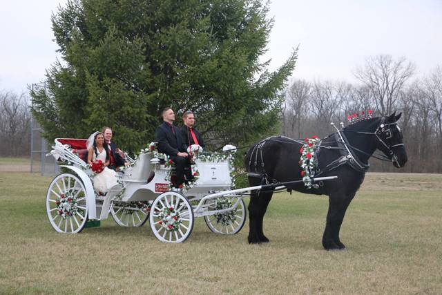 Ro-Da-O Farm Horse Drawn Vehicle Service