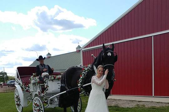 Bride & carriage