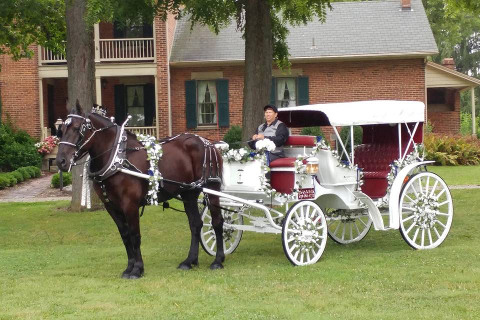 Wedding carriage is ready