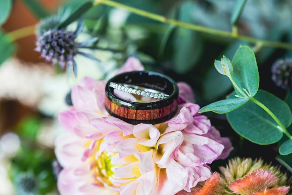The Rings