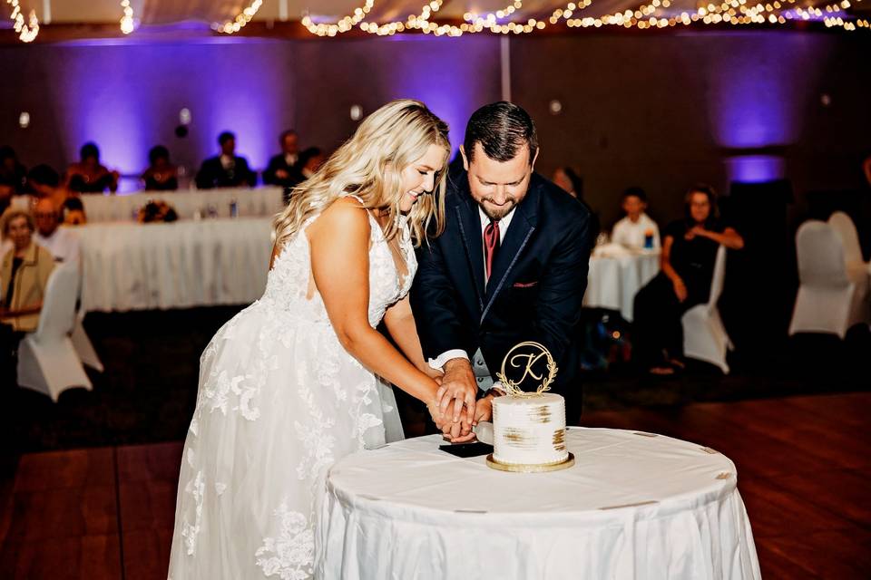 Cake Cutting