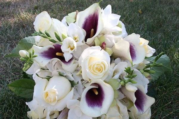 Bride's Bouquet with Piccasso Callas