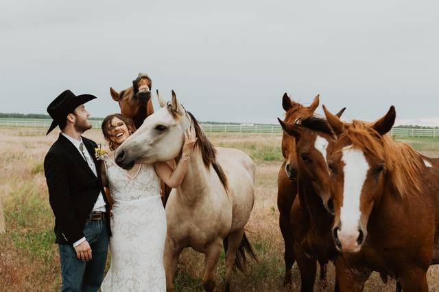 Horses