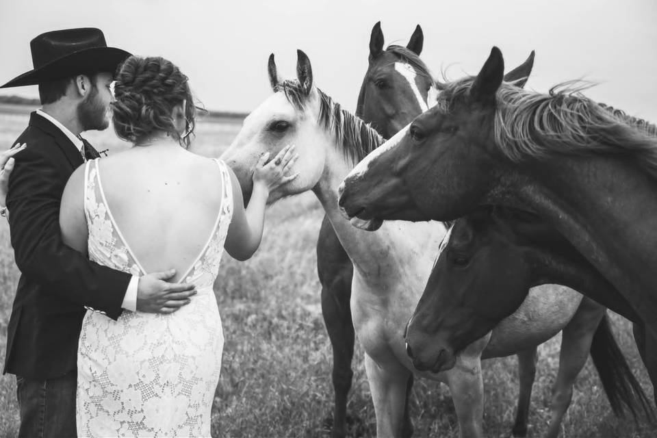 High Plains Photography