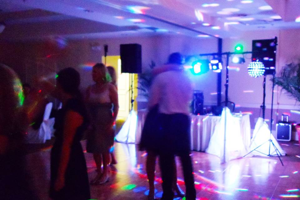 Elegant Entertainment DJ and Video Services