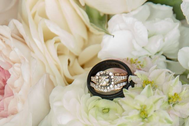 Kellwood Studio Photography