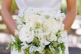 The bride holding her bouquet