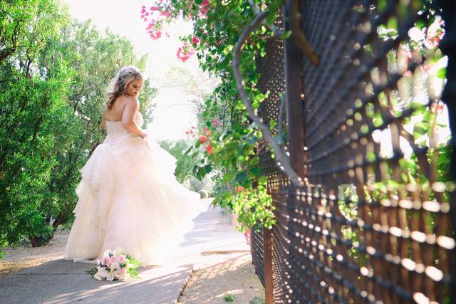 Diana Reed Photography