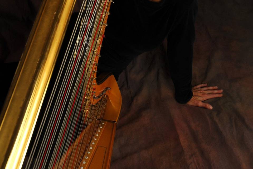 Kansas city harpist - wesley kelly