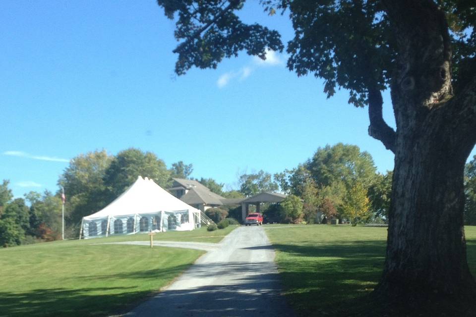 Outdoor wedding reption