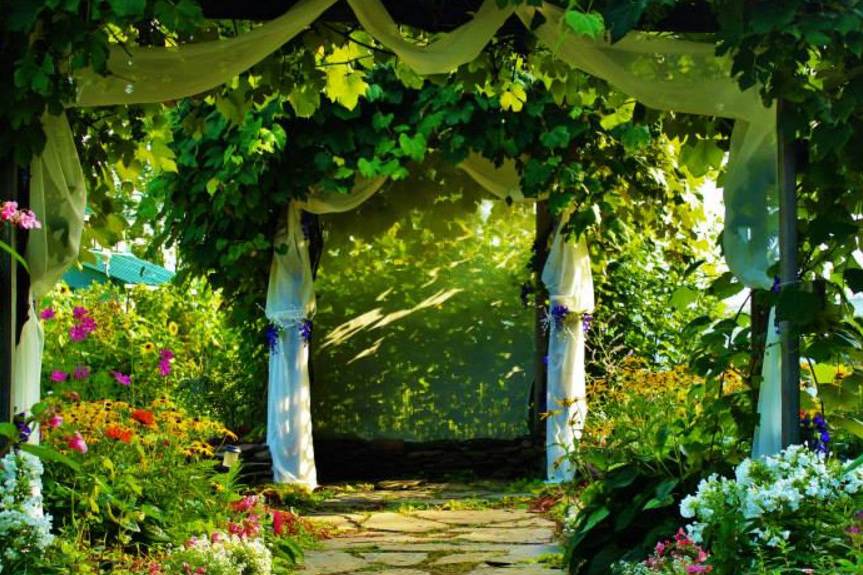 Grape Arbor Ceremony