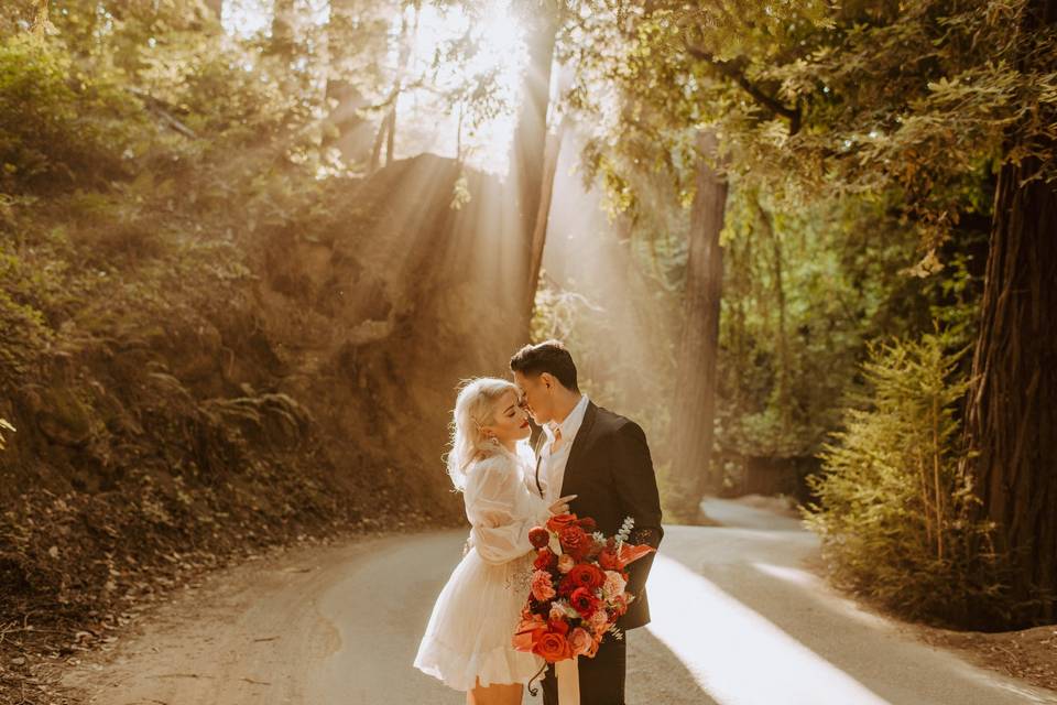 Northern California Weddings