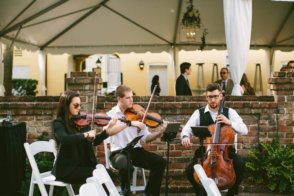 String Trio