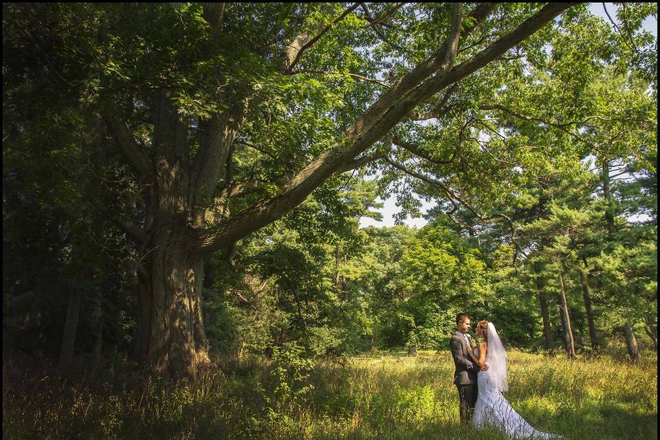 Dave & Liz Jarosz Photography