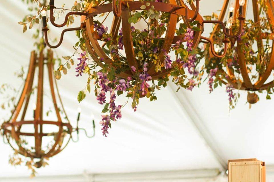 Whimsical lighting