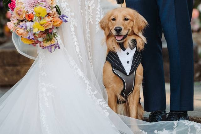 Gordon Wedding Dress