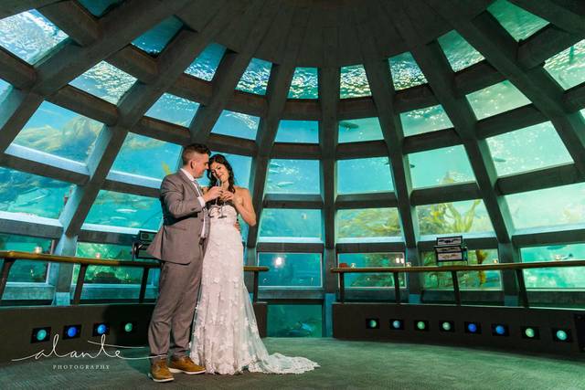 Gordon Duo Weddings