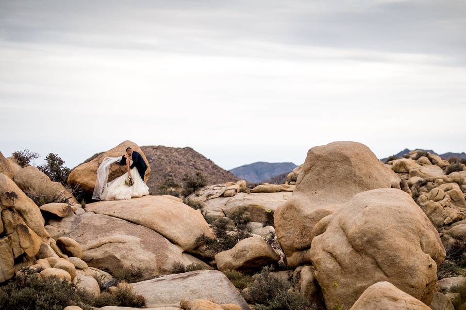 Palm Springs Wedding