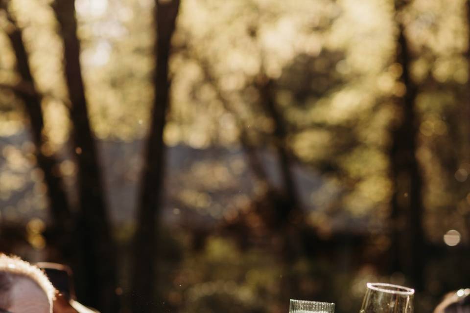 Liz Koston Photography