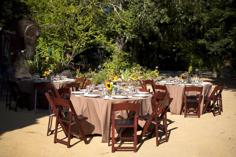 Grapevine Party Rentals