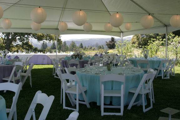 Grapevine Party Rentals