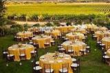 Grapevine Party Rentals