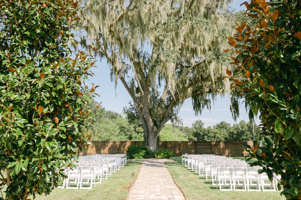 Ceremony Tree