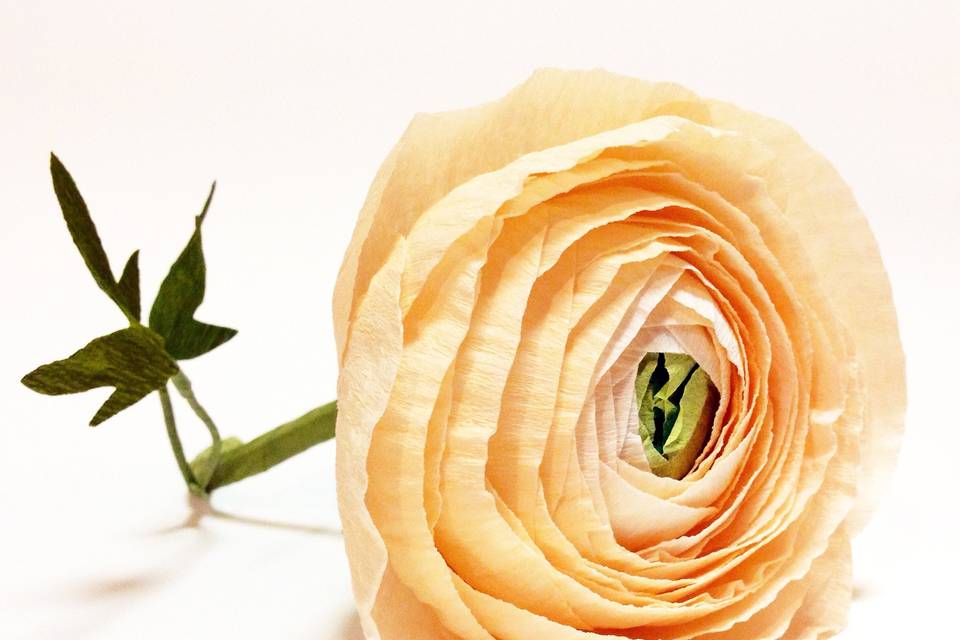 Paper Flowers by Paper Portrayals