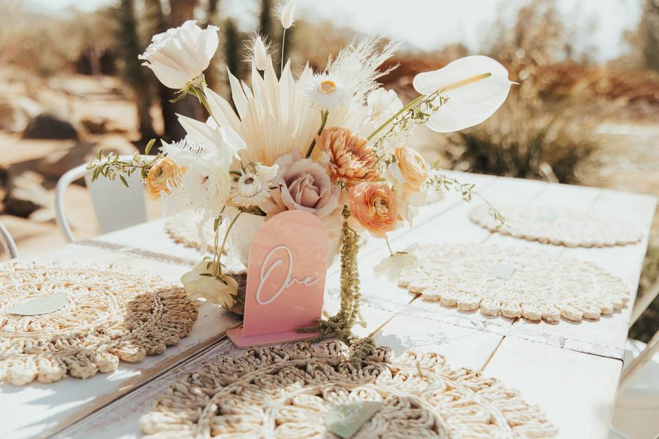 Joshua Tree Reception