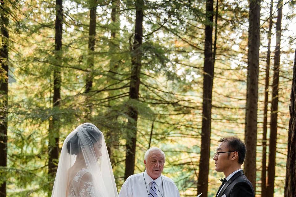 Wedding Officiant Jon Turino