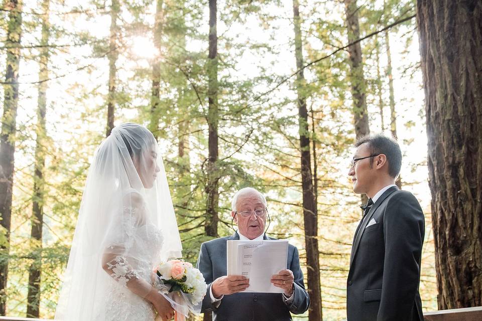 Wedding Officiant Jon Turino