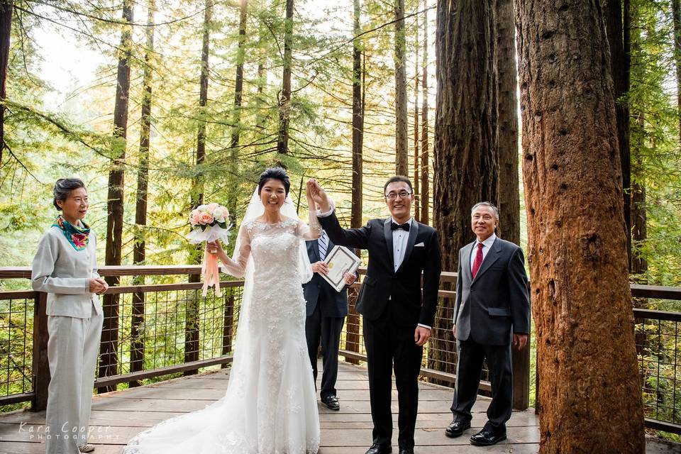 Redwood Observation Deck, Forest Park, Kara Cooper Photography