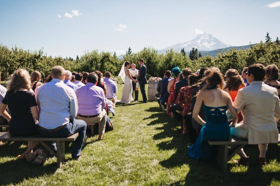 Wedding Officiant Jon Turino