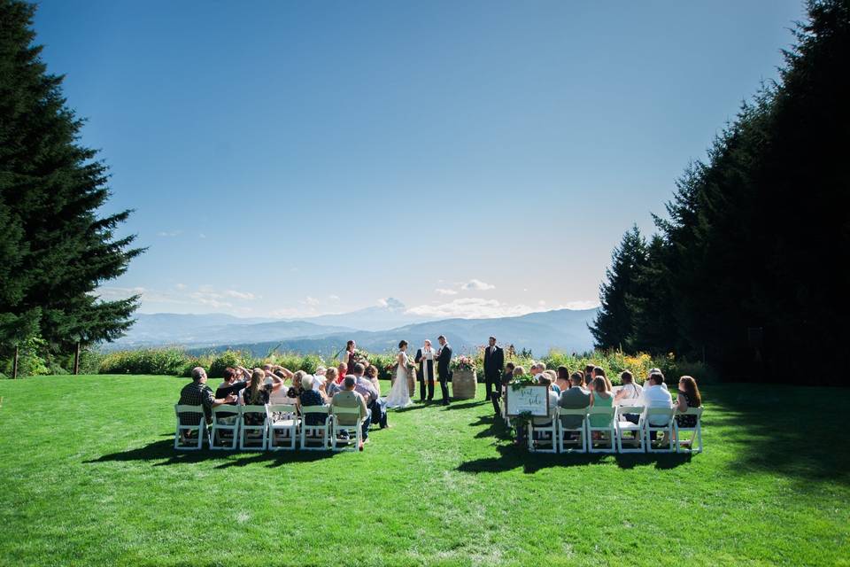 Wedding Officiant Jon Turino