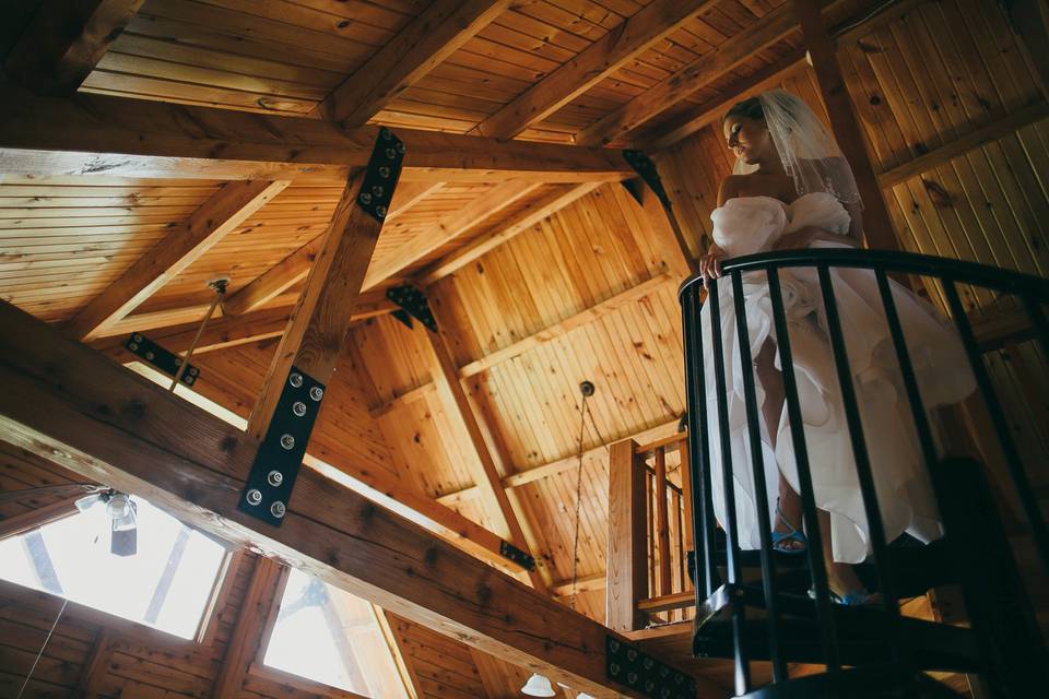 Alicia Magnuson Photography, LLC