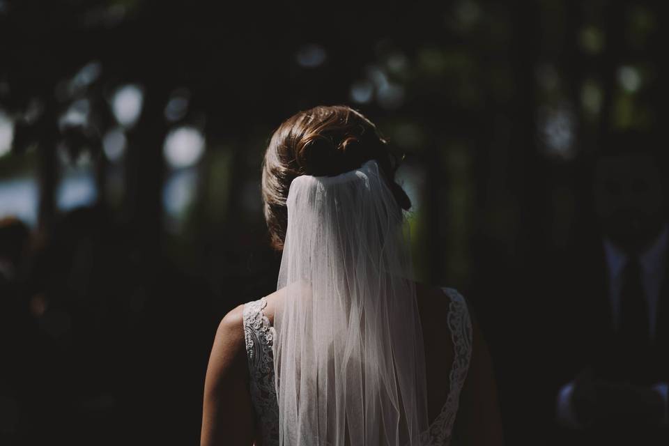 Alicia Magnuson Photography, LLC