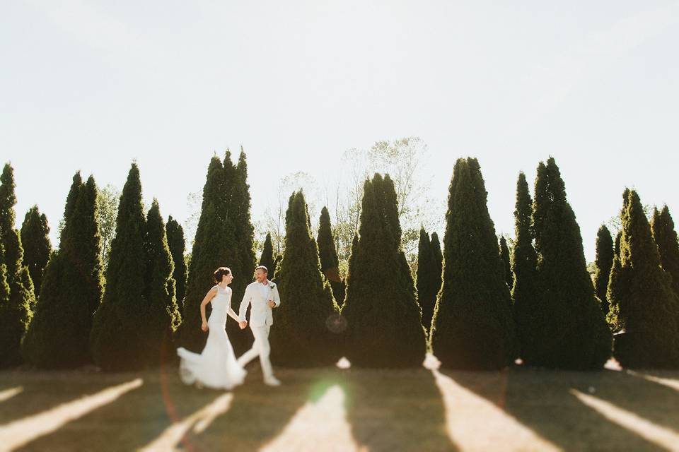 Alicia Magnuson Photography, LLC