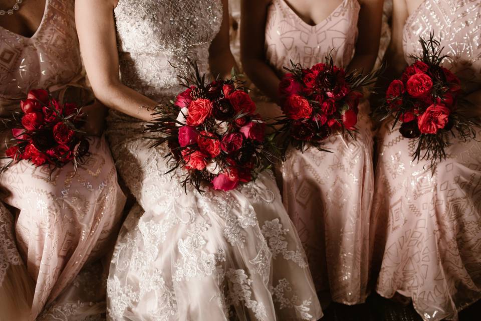 Alicia Magnuson Photography, LLC