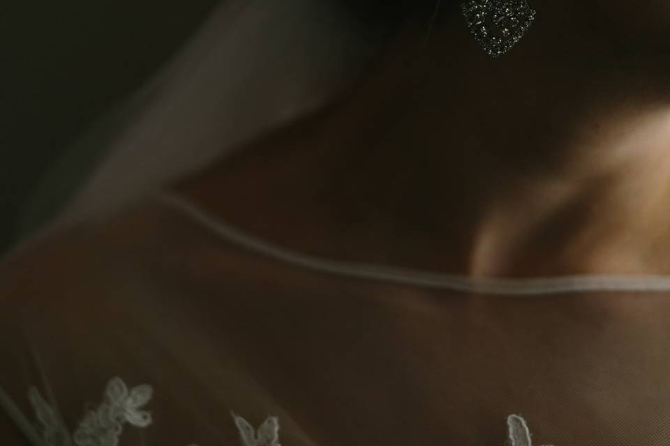 Alicia Magnuson Photography, LLC