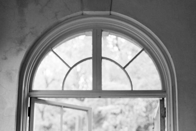 Petal & Glass Photography