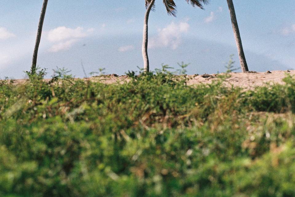 Scene setting