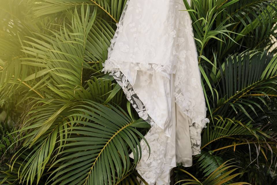 Dress in foliage, Vieques