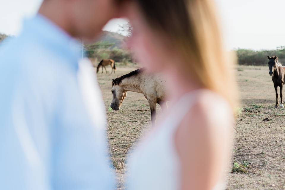 Couple and horses in Vieques