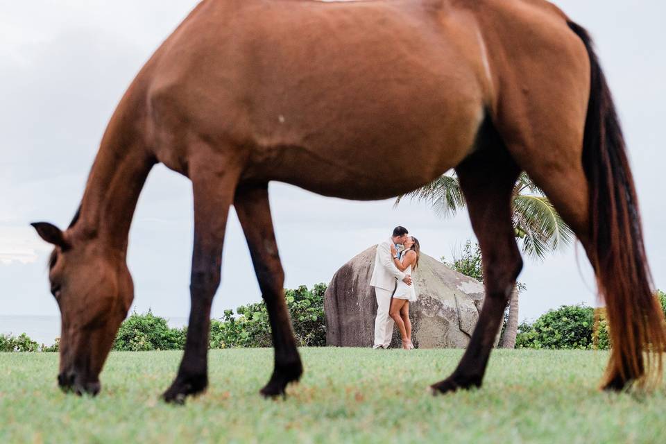 Couple and horse
