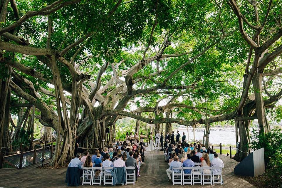 The Wedding Traveler