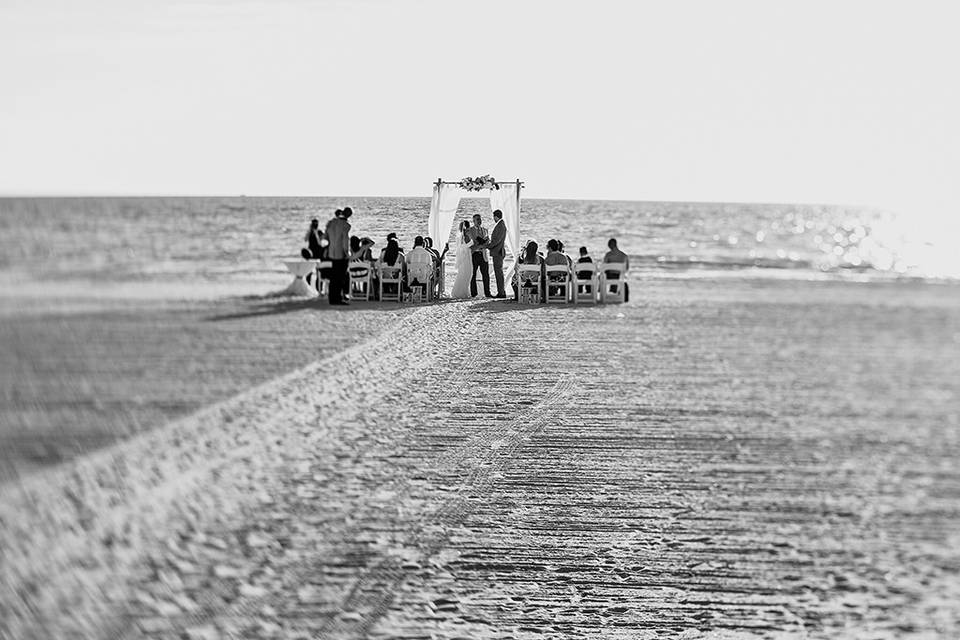 The Wedding Traveler