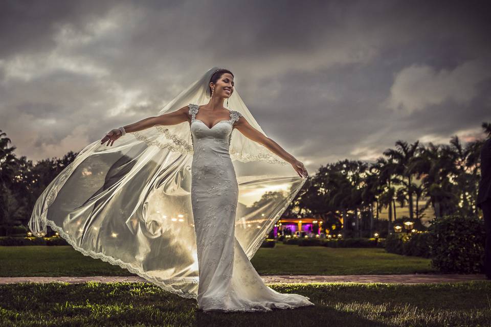 The Wedding Traveler